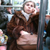 2010-11-26 Bouffeuse de castor_l.jpg